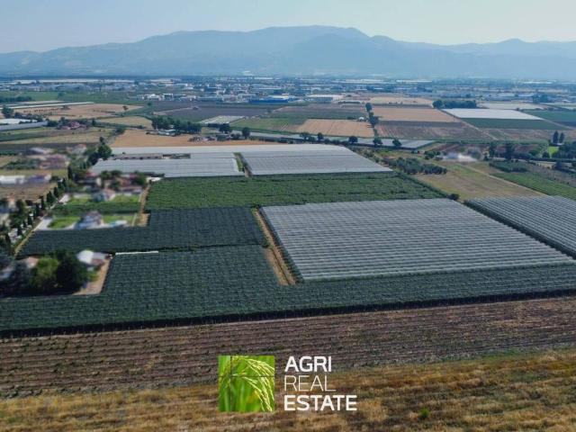 Terreno in vendita a Cisterna Di Latina, Lazio