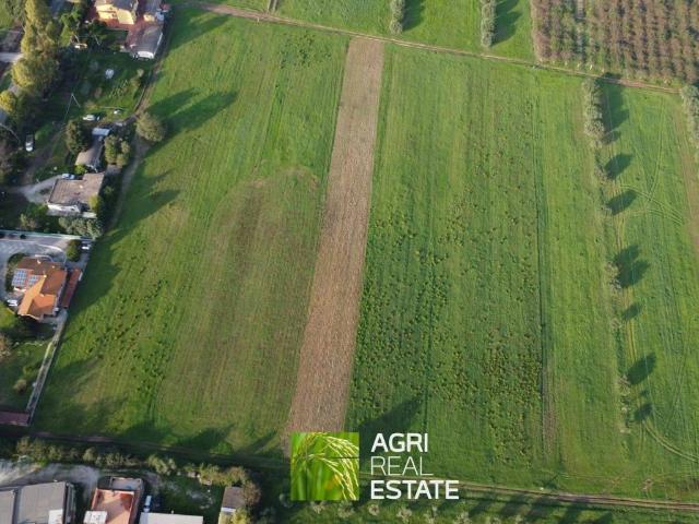Terreno in vendita a Cisterna Di Latina, Lazio