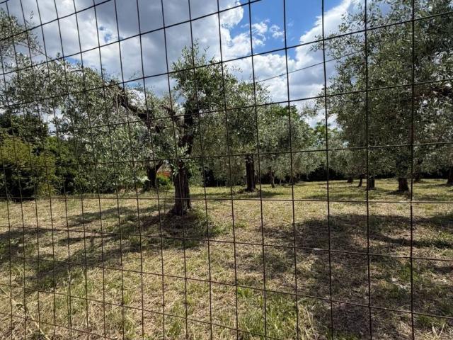 Terreno in vendita a Franceschetti, Cisterna Di Latina