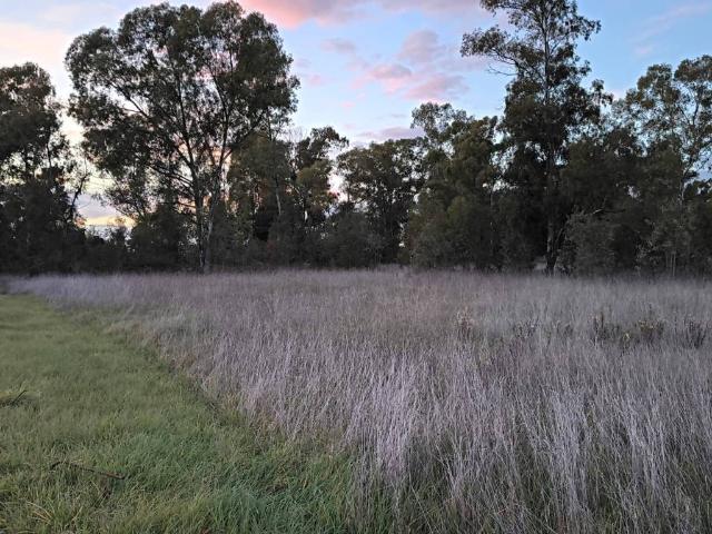 Terreno in vendita a Castelverde, Cisterna Di Latina
