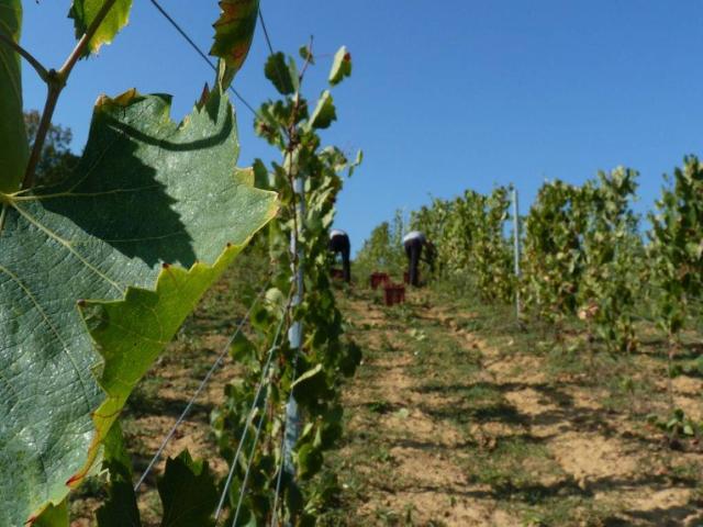 Terreno in vendita a Cisterna Di Latina, Lazio