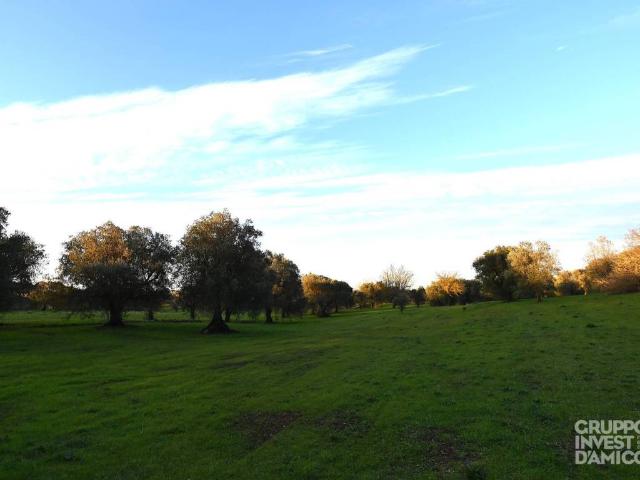 Terreno in vendita a Puglia, Brindisi