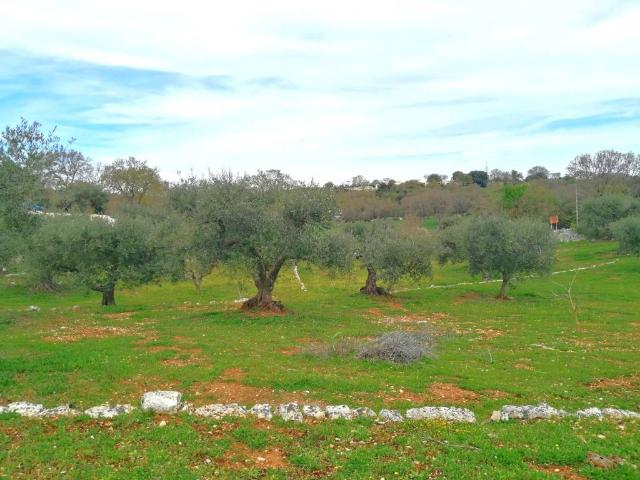 Terreno in vendita a Puglia, Brindisi