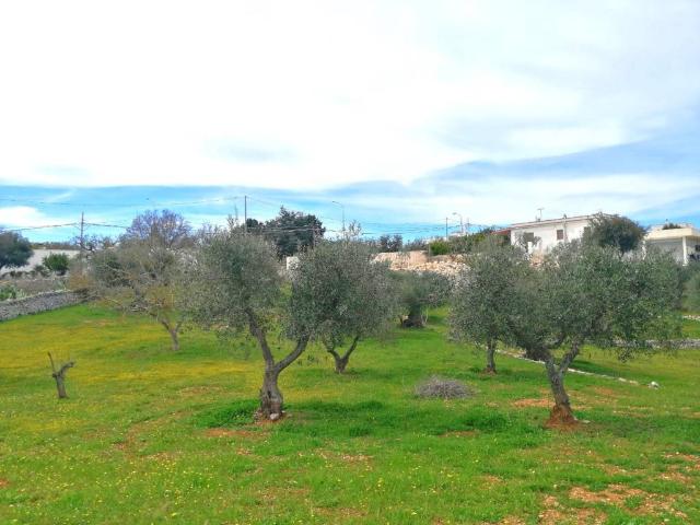 Terreno in vendita a Puglia, Brindisi