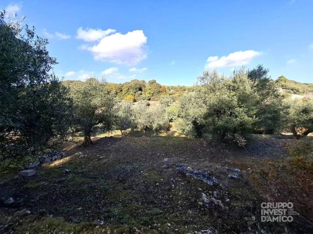 Terreno in vendita a Puglia, Brindisi