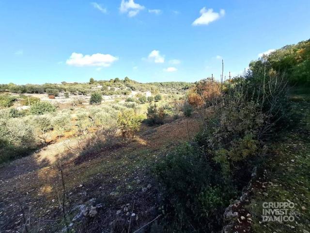 Terreno in vendita a Puglia, Brindisi