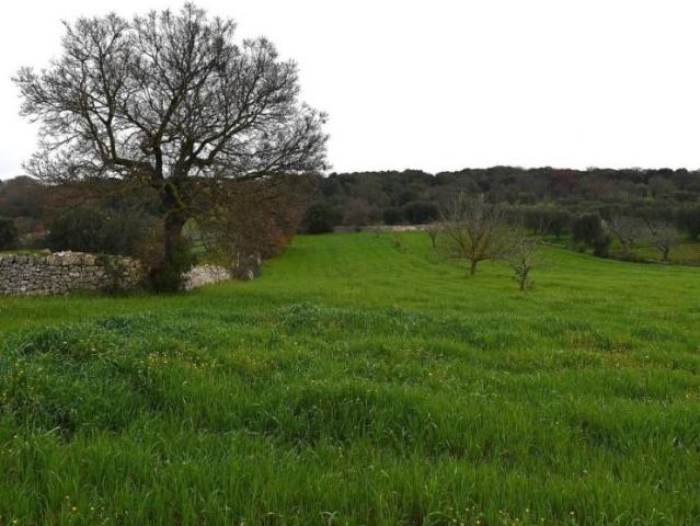 Terreno in vendita a Puglia, Brindisi