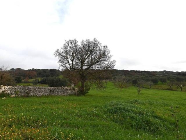 Terreno in vendita a Puglia, Brindisi
