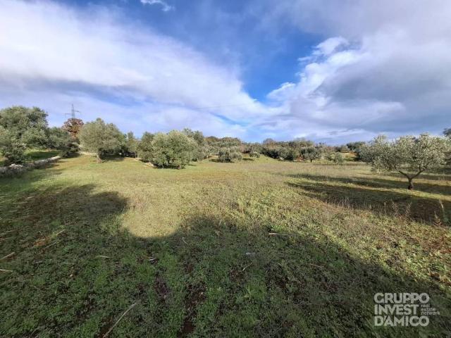 Terreno in vendita a Puglia, Brindisi