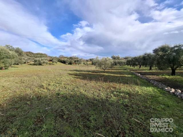 Terreno in vendita a Puglia, Brindisi