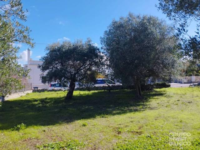 Terreno in vendita a Puglia, Brindisi