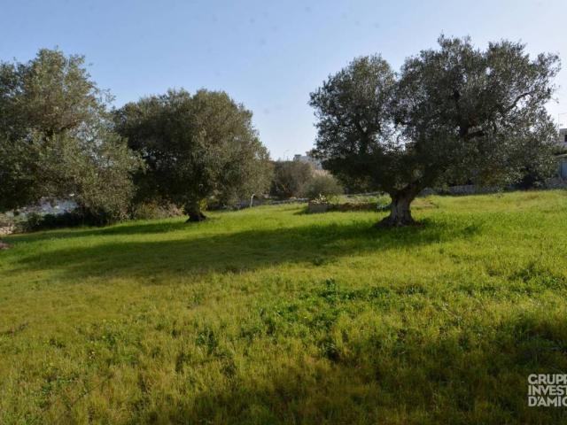 Terreno in vendita a Puglia, Brindisi