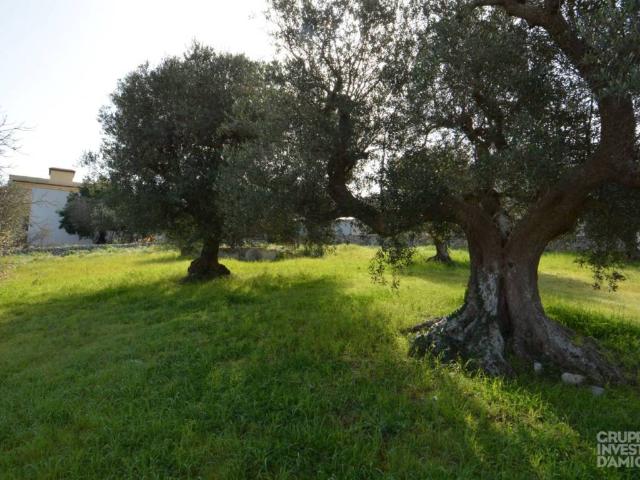 Terreno in vendita a Puglia, Brindisi