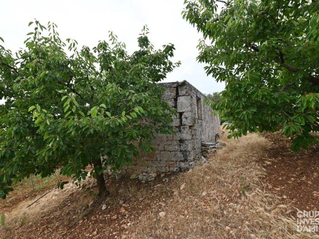 Terreno in vendita a Puglia, Bari