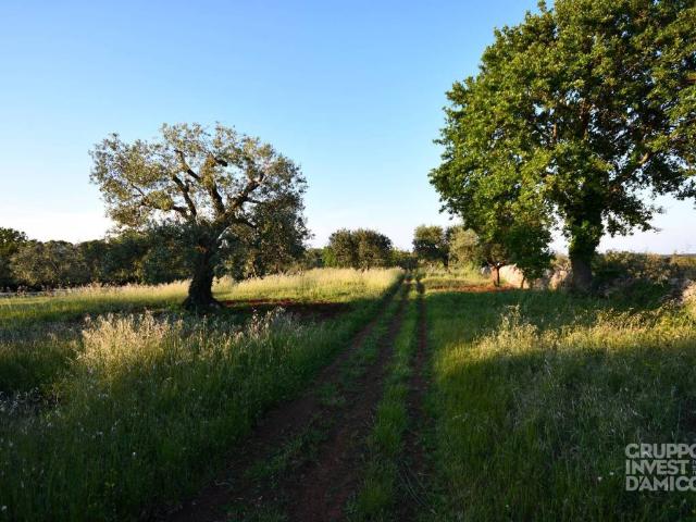 Terreno in vendita a Puglia, Brindisi