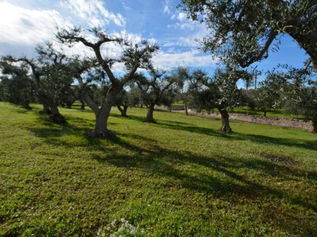 Terreno in vendita a Puglia, Brindisi