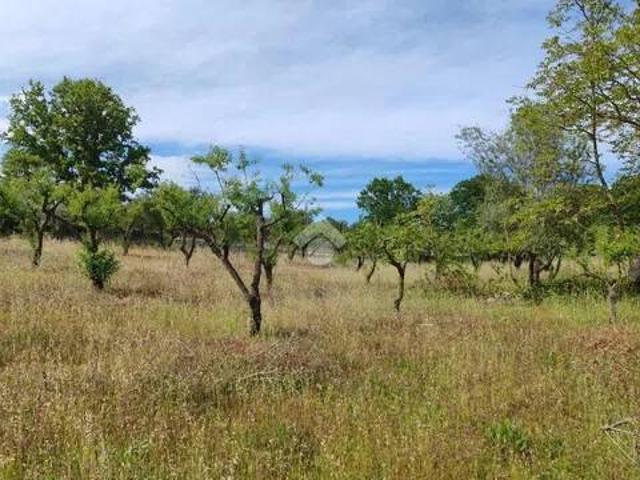 Terreno in vendita a Puglia, Brindisi