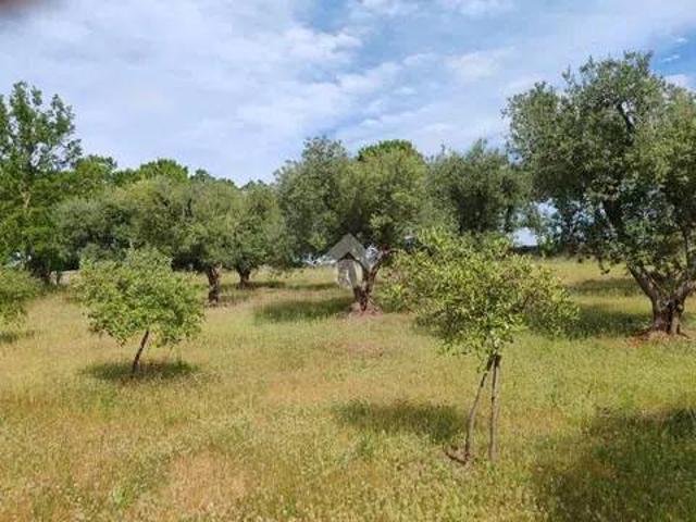 Terreno in vendita a Puglia, Brindisi