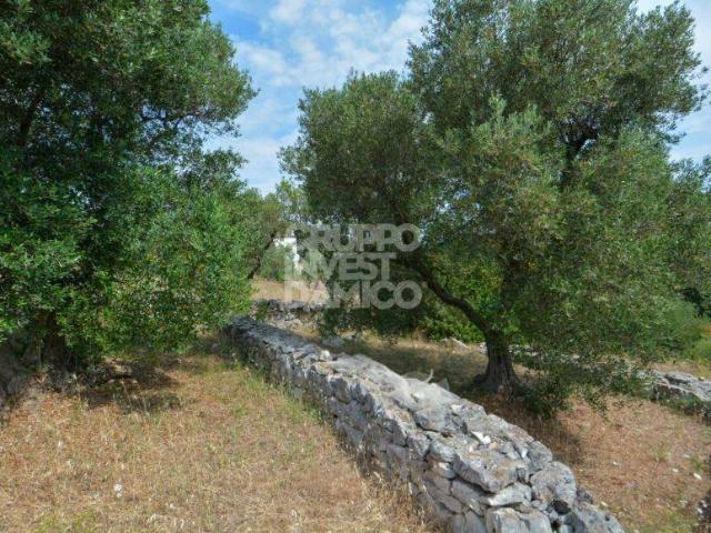 Terreno in vendita a Cisternino, Brindisi