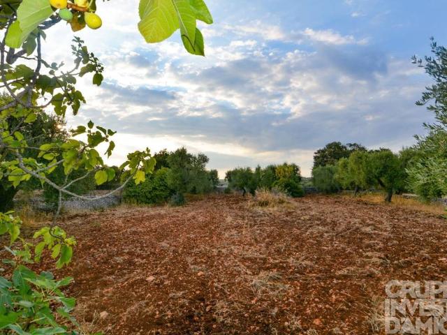 Terreno in vendita a Casalini, Cisternino