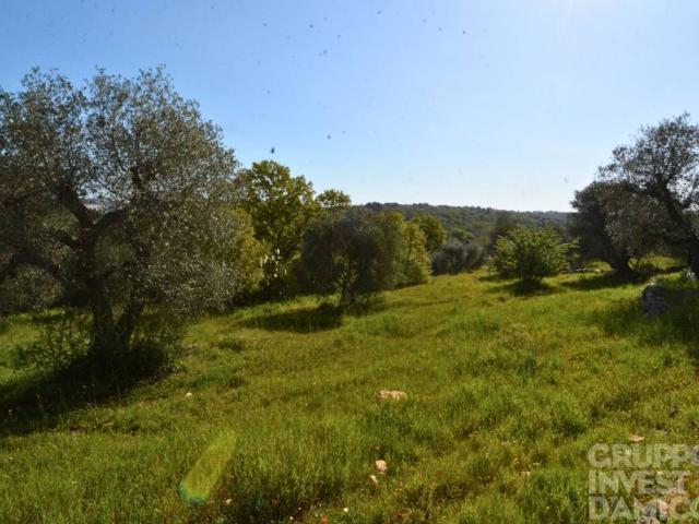 Terreno in vendita a Cisternino, Brindisi