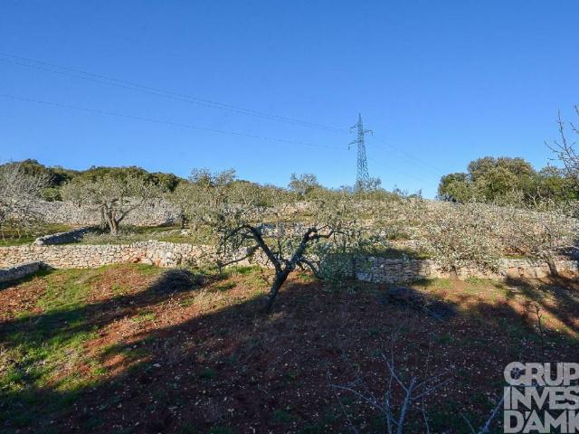 Terreno in vendita a Caranna, Cisternino