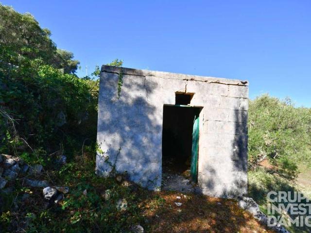 Terreno in vendita a Cisternino, Brindisi
