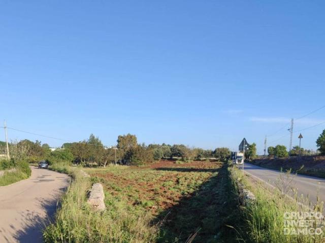 Terreno in vendita a Puglia, Brindisi