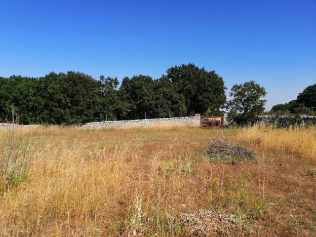 Terreno in vendita a Puglia, Brindisi