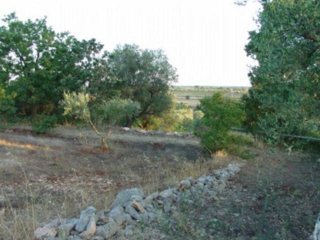 Terreno in vendita a Cisternino, Brindisi