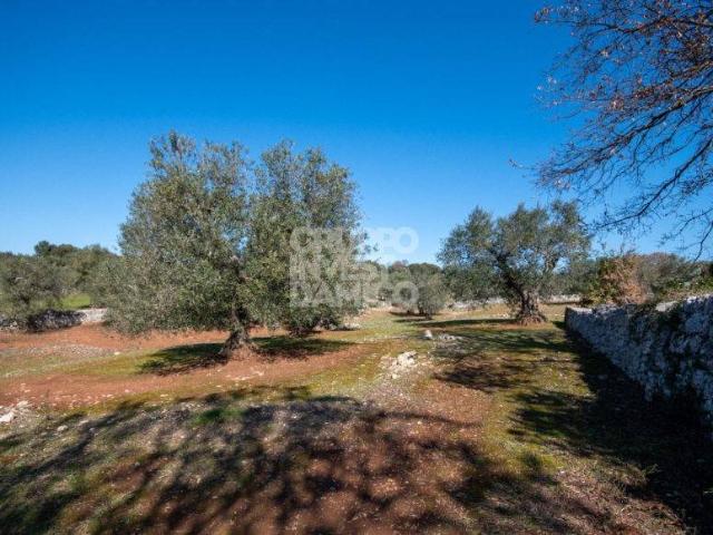 Terreno in vendita a Cisternino, Brindisi
