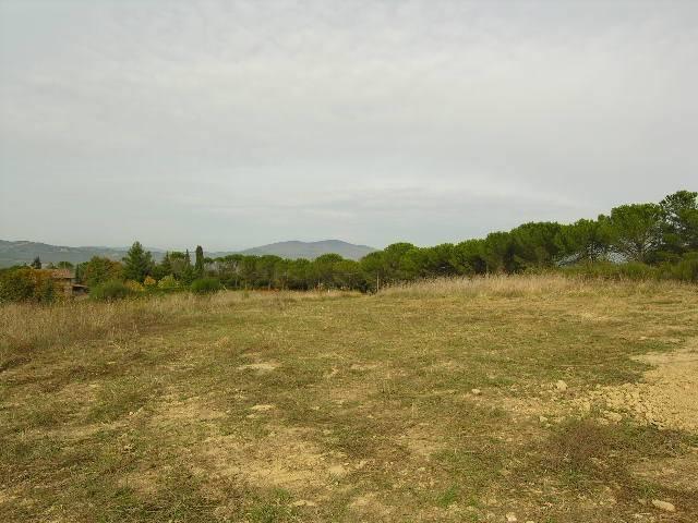 Terreno in vendita a Citerna, Umbria