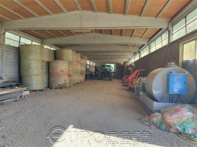 Terreno in vendita a San Leo Bastia, Umbria