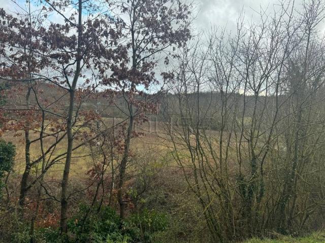 Terreno in vendita a San Leo Bastia, Umbria