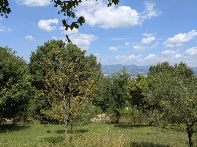 Terreno in vendita a La Boccia, San Leo Bastia