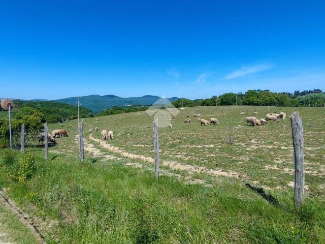 Terreno in vendita a San Leo Bastia, Umbria