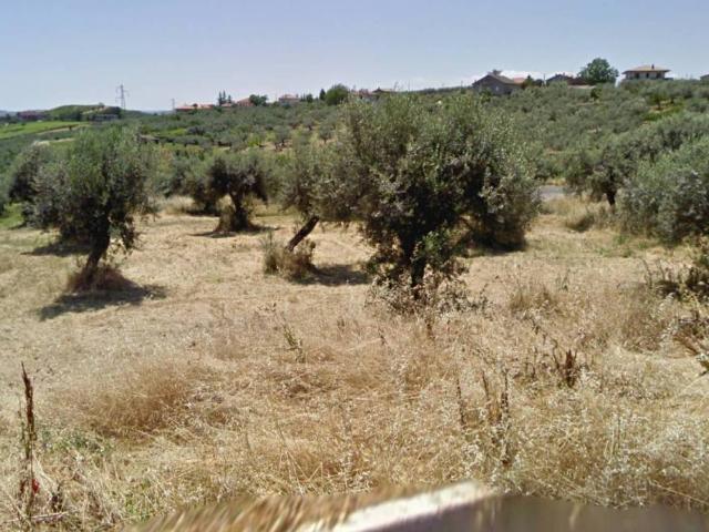 Terreno in vendita a Città Sant'angelo, Abruzzo