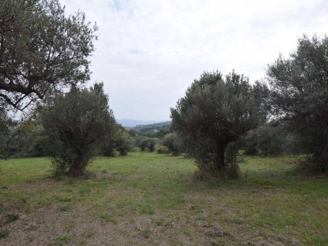 Terreno in vendita a Villa Cipressi, Città Sant'angelo