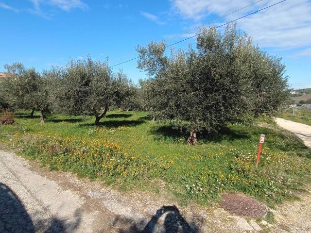 Terreno in vendita a Città Sant'angelo, Abruzzo