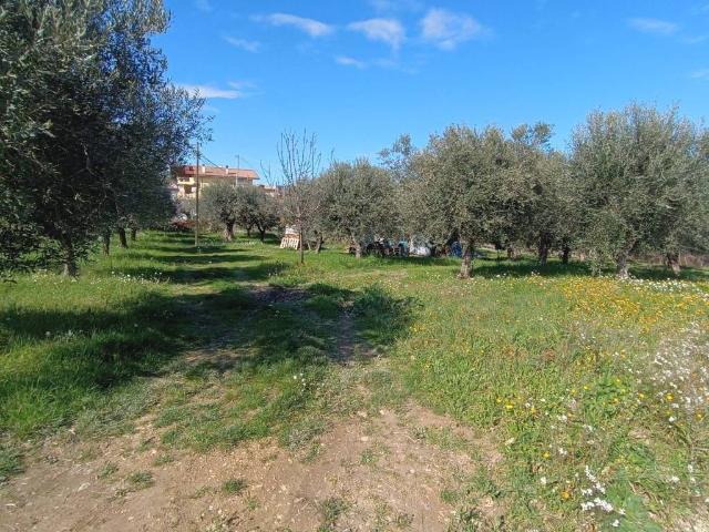 Terreno in vendita a Città Sant'angelo, Abruzzo