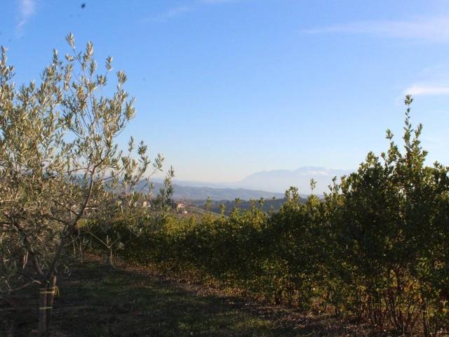 Terreno in vendita a Città Sant'angelo, Abruzzo