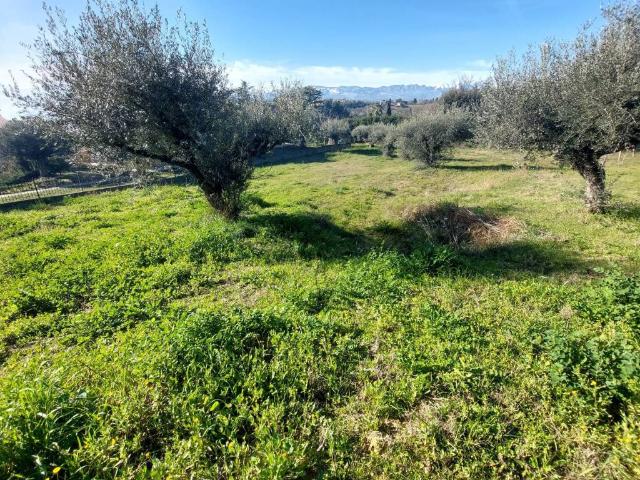 Terreno in vendita a Città Sant'angelo, Abruzzo