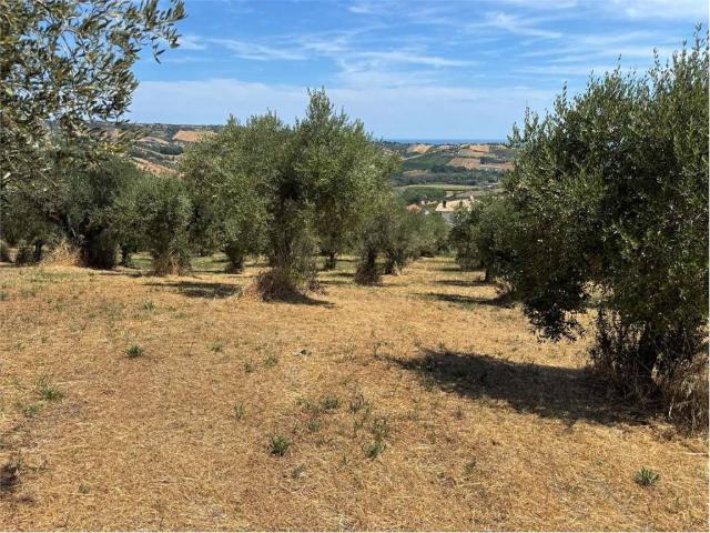 Terreno in vendita a Città Sant'angelo, Abruzzo