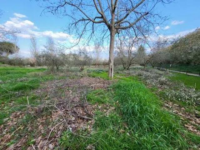 Terreno in vendita a Città Sant'angelo, Abruzzo