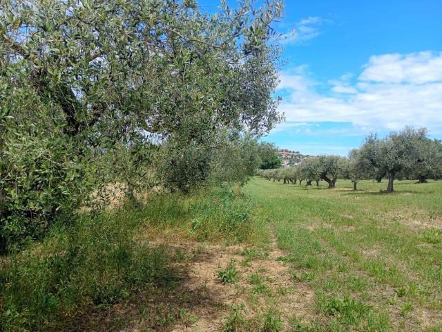 Terreno in vendita a Città Sant'angelo, Abruzzo