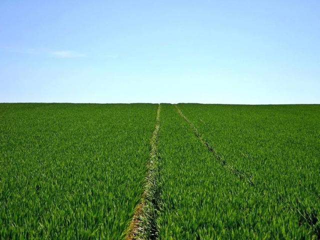 Terreno in vendita a Cittadella, Veneto