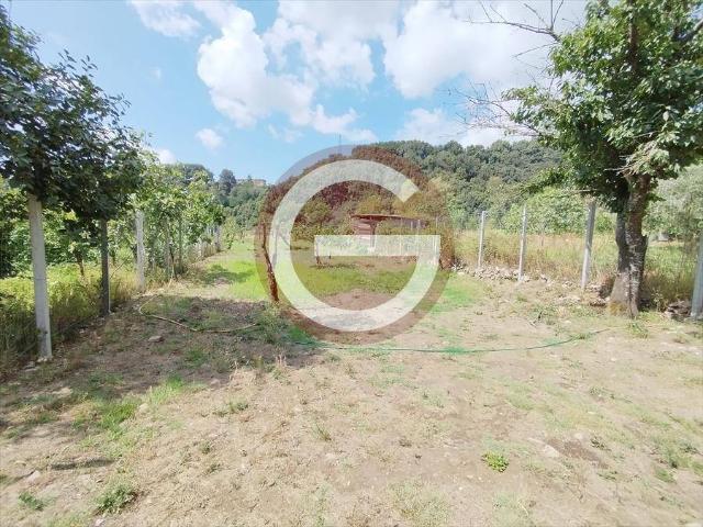 Terreno in vendita a Calabria, Reggio Calabria