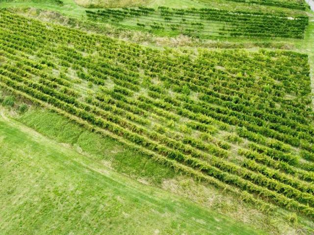 Terreno in vendita a Cividale Del Friuli, Friuli-Venezia Giulia