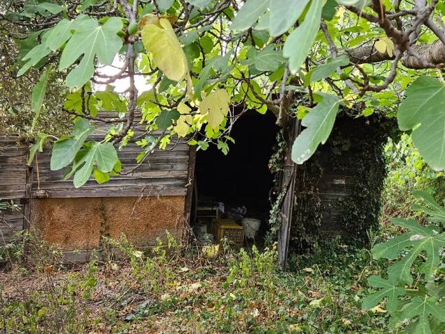 Terreno in vendita a San Gaetano, Marche