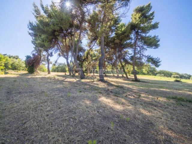Terreno in vendita a Belvedere, Marche